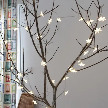 Daire Apartamento Crochet São Brás de Alportel