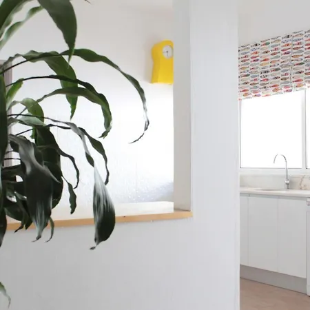 아파트 Apartamento Crochet